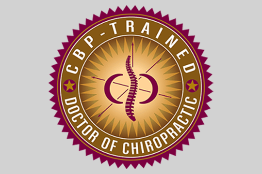 Chiropractic Lithia FL Doctor Of Chiropractic Logo